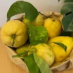 شقة Fetta Di Limone With Ac And Patio