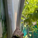 Fetta Di Limone With Ac And Patio شقة مونتيروسّو ال ماري