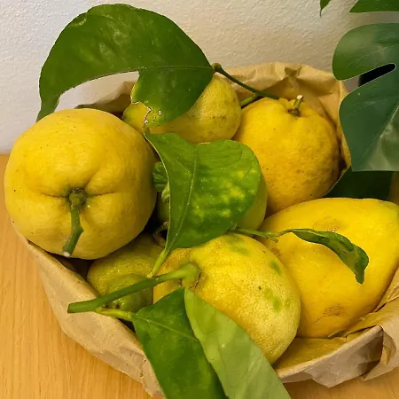 Fetta Di Limone With Ac And Patio * Monterosso al Mare