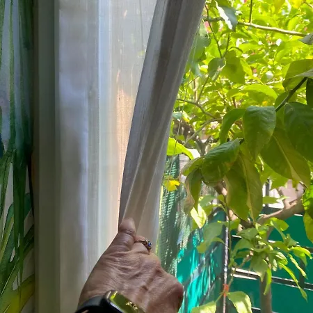 Apartman Fetta Di Limone With Ac And Patio Monterosso al Mare