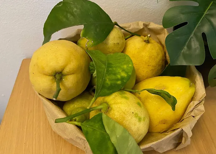 Lejlighed Fetta Di Limone With Ac And Patio